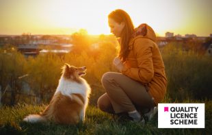 Online Level 3 Advanced Diploma in Dog Behaviour and Training